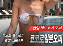 오피스타 | [안양오피-코코로일본오피]